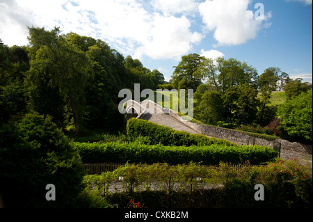 Brig o Doon ', einem späten mittelalterlichen gewölbten Brücke über den Fluß Doon, Alloway, Ayrshire. Schottland.   SCO 8572 Stockfoto