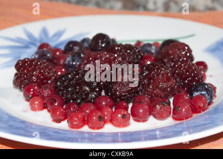 Zusammensetzung der Beeren: Himbeeren, Brombeeren, Heidelbeeren Stockfoto