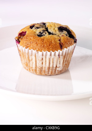 BLUEBERRY MUFFIN Stockfoto