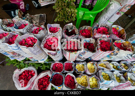 Blumen auf dem Chatuchak-Markt in Bangkok Stockfoto