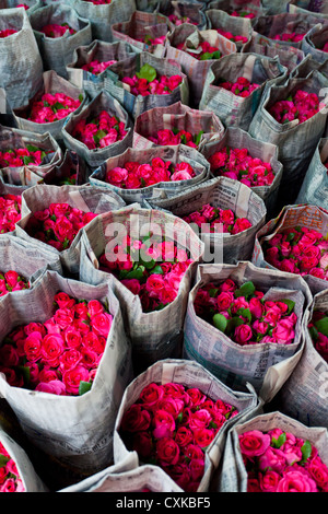 Blumen auf dem Chatuchak-Markt in Bangkok Stockfoto