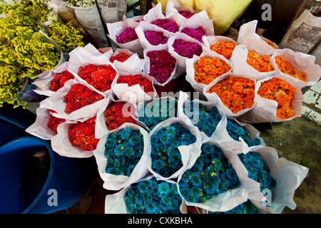 Blumen auf dem Chatuchak-Markt in Bangkok Stockfoto