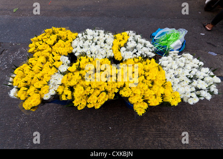 Blumen auf dem Chatuchak-Markt in Bangkok Stockfoto