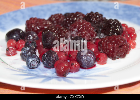 Zusammensetzung der Beeren: Himbeeren, Brombeeren, Heidelbeeren Stockfoto