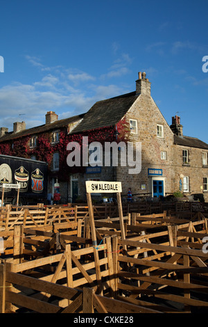 Swaledale Holzschafe Stifte, Marktplatz im Dorf Masham, in der Nähe von Ripon in den North Yorkshire Dales, die jährliche Masham Sheep Fair Event. Stockfoto