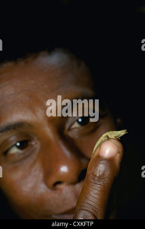 Zwerg oder Pygmäen Blatt Chamäleon (Brookesia Minima), thront auf Fingertip, Montagne d'Ambre National Park, Antsiranana, Madagaskar Stockfoto