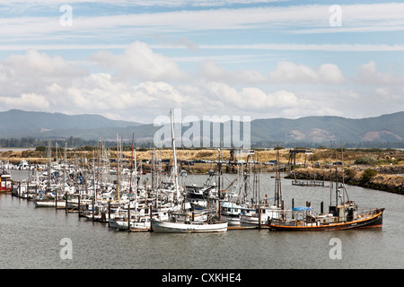 Hafen von Ilwaco Hafen Hafen mit Fischerbooten vor Anker an schwimmenden Piers, Südende des Long Beach Halbinsel Washington State Stockfoto