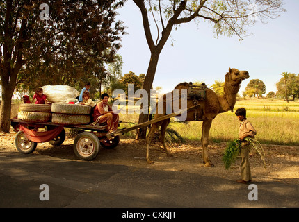 Kamel Wagen in Rajasthan Indien als eine Art des Transports Stockfoto