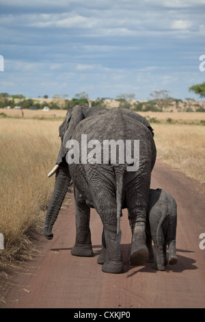 Mutter und Kind Fuß die Straße runter in Serengeti Nationalpark, Tansania. Stockfoto