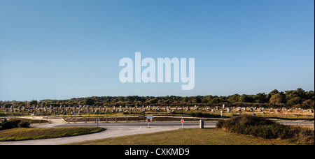 Panoramablick auf die Menec Ausrichtungen in der Nähe der Straßen in der Gegend von Carnac in der Bretagne im Nordwesten Frankreichs. Stockfoto