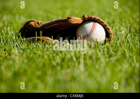 Eine weiße Baseball in einem braunen Leder Baseballhandschuh liegen auf einem grünen Baseball-Feld Stockfoto