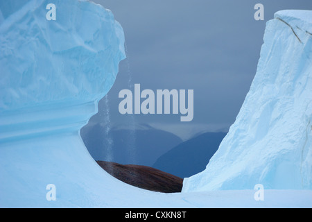 Schmelzwasser auf Eisberg, ritt, Fjord, Scoresby Sund, Grönland Stockfoto
