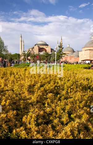 Touristen vor der Hagia Sofia Kirche oder Kirche von St. Sofia in Istanbul, Türkei Stockfoto