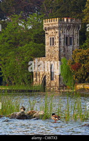 Massaciuccoli See, Viareggio, Torre del Lago Puccini, Provinz Lucca, Toskana Italien Europa. Stockfoto