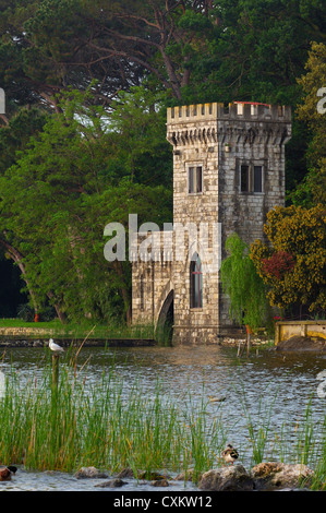 Massaciuccoli See, Viareggio, Torre del Lago Puccini, Provinz Lucca, Toskana Italien Europa. Stockfoto