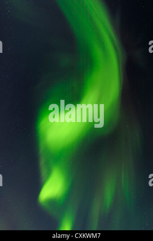 Nordlichter in der Nähe von Tromsø, Troms, Norwegen Stockfoto