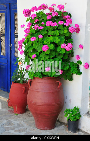 Großer Terrakottatopf, der mit leuchtend rosa Geranien im Bauerndorf Kroustas, Kreta, griechische Inseln, Griechenland, Europa, bepflanzt ist Stockfoto