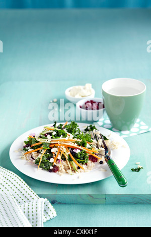 Grünkohl, Möhren und Feta-Salat mit Preiselbeeren Stockfoto