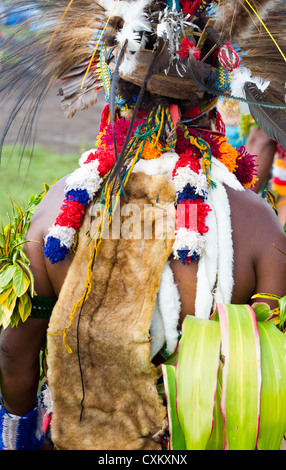 Mann trägt Tracht tribalen bei Singsing Goroka Festival, Papua New Guinea Stockfoto