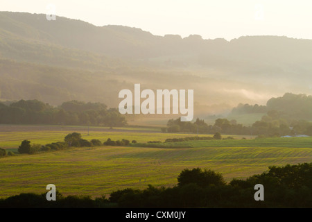 Schönen guten Morgennebel über den Feldern Stockfoto