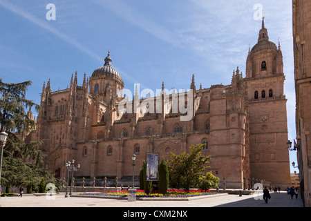 Anaya-Platz vor der Kathedrale Santa Maria, Salamanca, Kastilien-Leon Spanien Europa Stockfoto