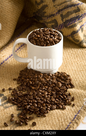 Eine weiße Tasse voll von gerösteten Kaffeebohnen auf einer Leinwand Kaffeebohne Tasche. Hintergrund mit Textfreiraum Stockfoto