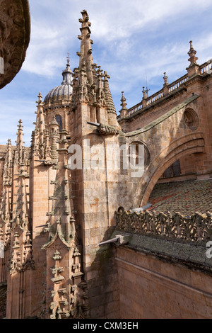 Vertikale Außenansicht der Dachlinie Architektur aus der alten Kathedrale (Catedral Vieja), Salamanca, Kastilien-Leon, Spanien Stockfoto