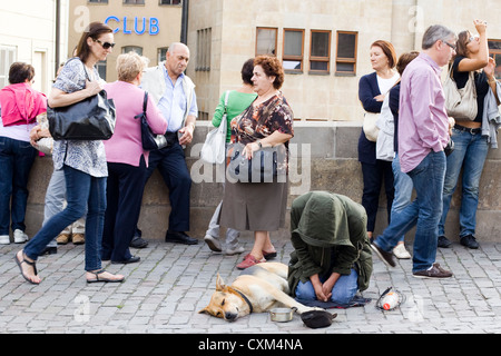 Bettler auf den Straßen von Prag mit seinem Hund Canis Lupus familiaris Stockfoto