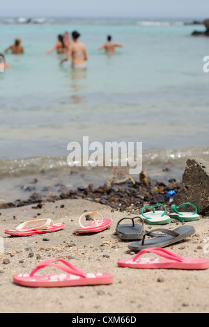 Flip Flaps in Isla de Lobos Kanarischen Insel Fuerteventura Stockfoto