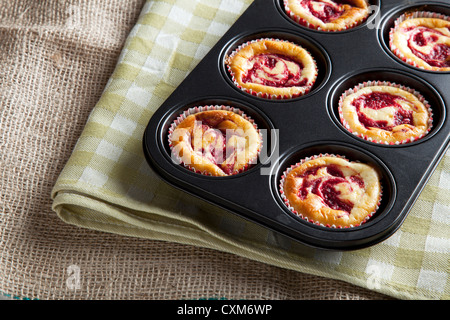 Kühlung im Muffinwanne frischen Käsekuchen-Muffins. Stockfoto