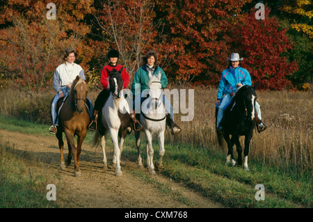 Wanderreiter im Herbst auf Palomino Arizona, 1001 nur ein Prinz und Malen flyen eagle Shadow/Illinois Stockfoto