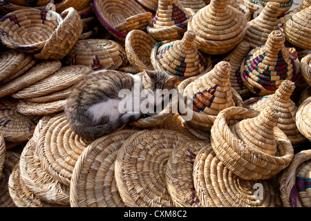 Handgemachte gewebte Matten Markt Katze schlafen shopping Erinnerungsgeschenk Marrakesch, Marokko Stockfoto