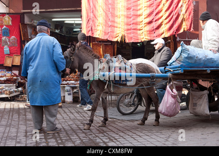 Mann mit Esel und Wagen, Marrakesch, Marokko Stockfoto