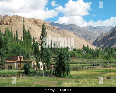 Landschaft zwischen Basgo und Saspol, Srinagar-Leh-Highway, Jammu und Kaschmir, Indien Stockfoto