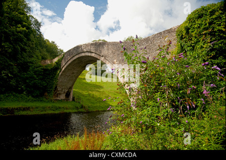 Brig o Doon ', einem späten mittelalterlichen gewölbten Brücke über den Fluß Doon, Alloway, Ayrshire. Schottland.   SCO 8612 Stockfoto