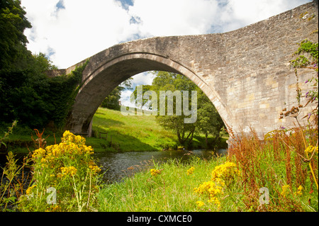 Brig o Doon ', einem späten mittelalterlichen gewölbten Brücke über den Fluß Doon, Alloway, Ayrshire. Schottland.  SCO 8614 Stockfoto