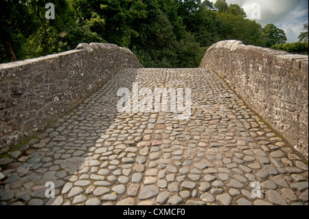 Brig o Doon ', einem späten mittelalterlichen gewölbten Brücke über den Fluß Doon, Alloway, Ayrshire. Schottland.  SCO 8617 Stockfoto