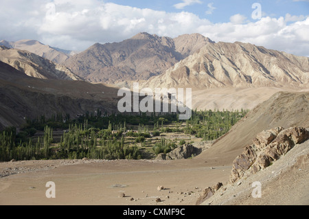 Indus-Tal, zwischen Saspol und Nurla, Srinagar-Leh-Highway, Jammu und Kaschmir, Indien Stockfoto