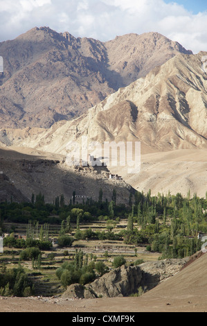 Indus-Tal, zwischen Saspol und Nurla, Srinagar-Leh-Highway, Jammu und Kaschmir, Indien Stockfoto