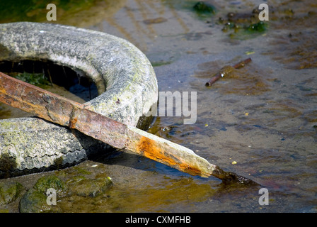 Ablagerungen in Form von alten Autoreifen und Altmetall in der Natur Stockfoto