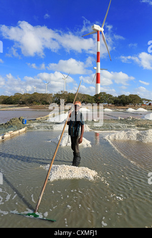 Salz Landarbeiter Rechen Salz in Stapeln, mit Windrädern im Hintergrund, Puttalam, Sri Lanka Stockfoto