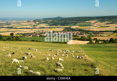 Landschaft in der Nähe der Lembronnais und Antoingt Dörfer, Auvergne, Frankreich im Sommer Stockfoto