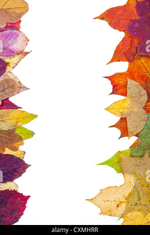 zwei Seitenteile aus kunterbunten Herbst Blätter isolierten auf weißen Hintergrund Stockfoto