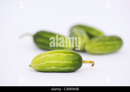 Coccinia Grandis. Ivy Kürbisse auf weißem Hintergrund Stockfoto