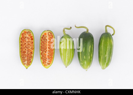 Coccinia Grandis. Ivy Kürbisse auf weißem Hintergrund Stockfoto