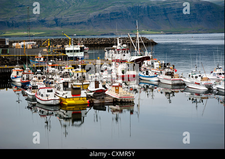 Djupivogur Hafen, Island Stockfoto