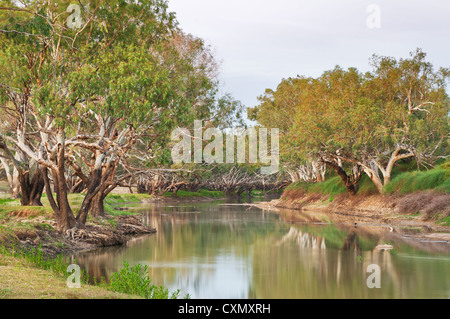 Cooper Creek in der südaustralischen Wüste nach einer guten Überschwemmung. Stockfoto