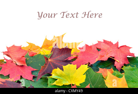 Herbstlaub Hintergrund mit Text-Raum Stockfoto