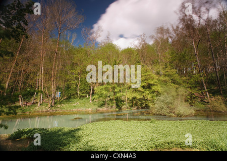 Geburt des Flusses Ebro in Fontibre in Campoo Region Kantabrien, Spanien Stockfoto