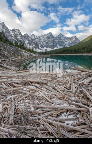 Ansammlung von großen Treibholz am Ufer eines Bergsees Stockfoto